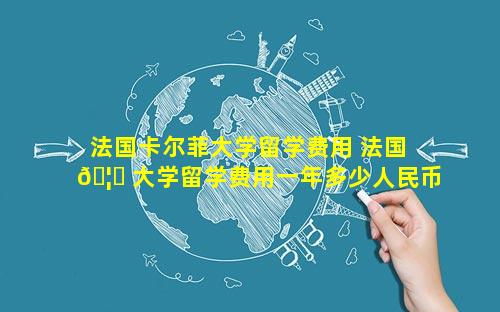 法国卡尔菲大学留学费用 法国 🦈 大学留学费用一年多少人民币